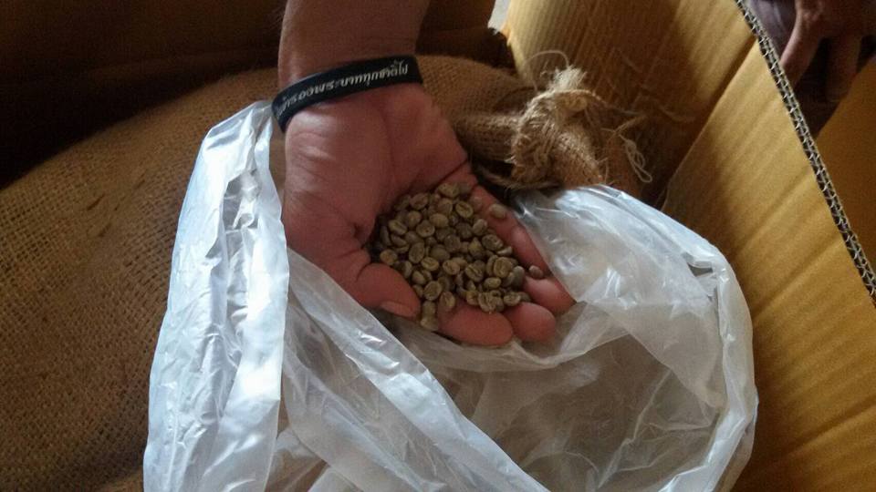 DOI PUI COFFEE THE BEST ORGANIC COFFEE BEANS - กาแฟดอยปุย